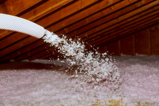 Best Specialized Insulation Services in Forest Park, IL